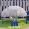 CONMEBOL - Tree of Dreams