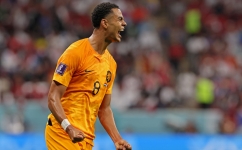 Netherlands' forward Cody Gakpo celebrates scoring his team's first goal during the Qatar 2022 World Cup Group A match against Qatar at the Al-Bayt Stadium in Al Khor on November 29, 2022. (Photo by KARIM JAAFAR / AFP)