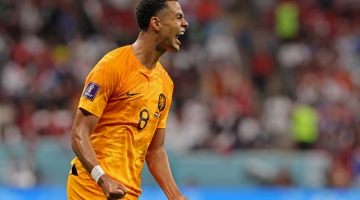 Netherlands' forward Cody Gakpo celebrates scoring his team's first goal during the Qatar 2022 World Cup Group A match against Qatar at the Al-Bayt Stadium in Al Khor on November 29, 2022. (Photo by KARIM JAAFAR / AFP)