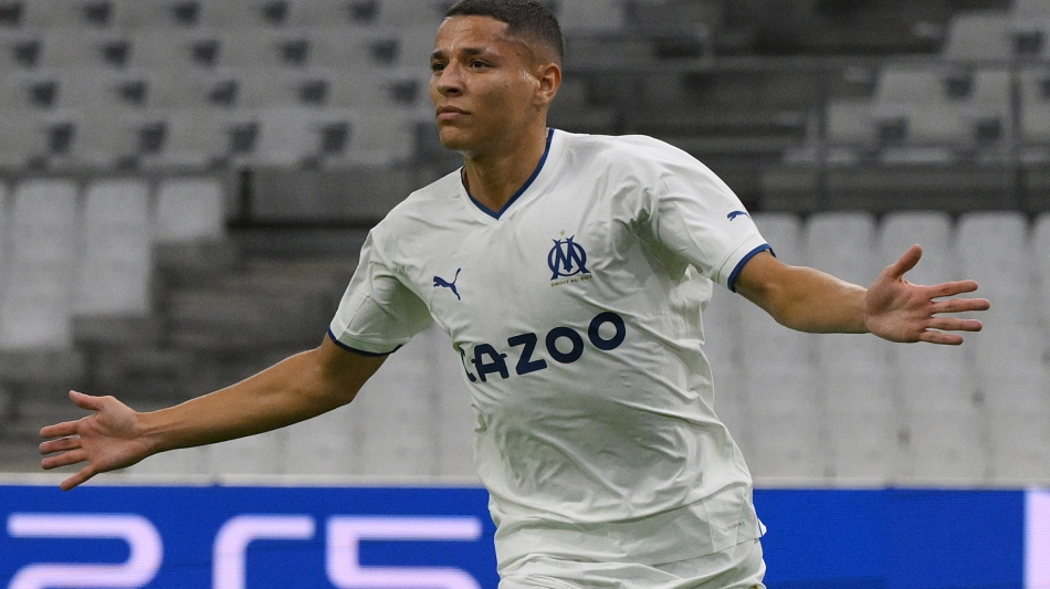 Amine Harit