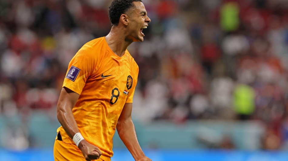 Netherlands' forward Cody Gakpo celebrates scoring his team's first goal during the Qatar 2022 World Cup Group A match against Qatar at the Al-Bayt Stadium in Al Khor on November 29, 2022. (Photo by KARIM JAAFAR / AFP)