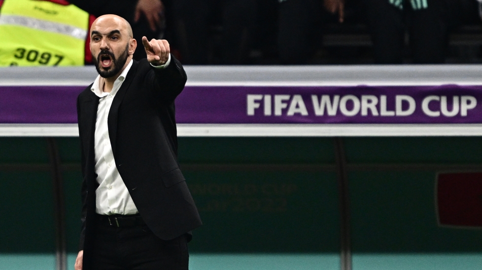 Walid Regragui: AFP