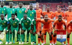 هولندا والسنغال