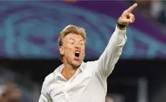 هيرفي رينارد المدير الفني للمنتخب السعودي