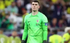 دومينيك ليفاكوفيتش