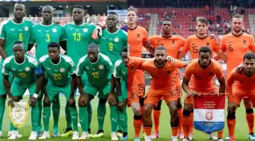 هولندا والسنغال