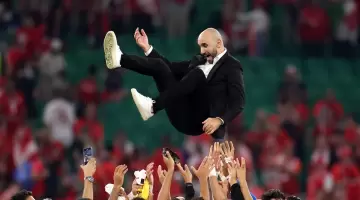 وليد الركراكي