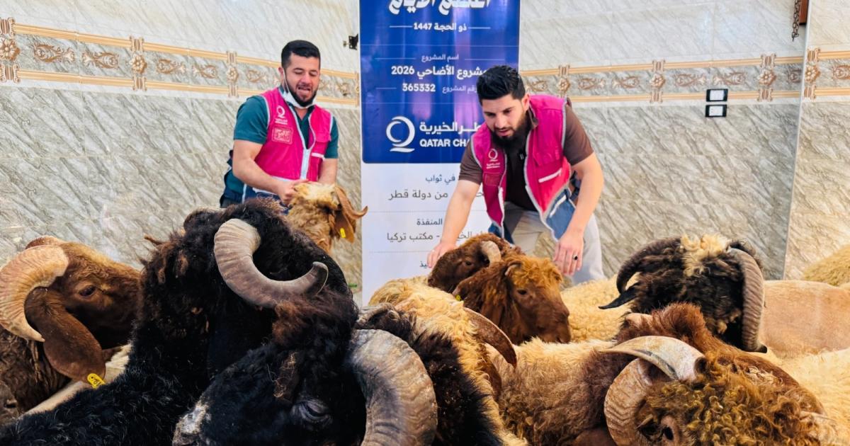 قطر الخيرية: 17 ألف مستفيد من مشروع الأضاحي