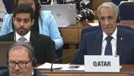 جانب من المشاركة القطرية في الجلسة