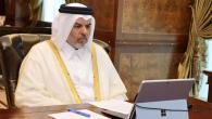جانب من المشاركة القطرية في الاجتماع