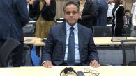 جانب من المشاركة القطرية