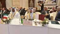 جانب من المشاركة القطرية