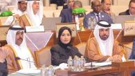 جانب من المشاركة القطرية