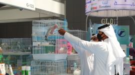 استمرار فعاليات معرض قطر الزراعي والبيئي الدولي2021