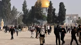 صورة أرشيفية