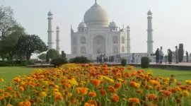 ضريح تاج محل أعيد فتحه أمام الزوار بعد تخفيف القيود في الهند