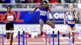 سيدني ماكلولين