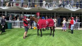 جانب من حفل التكريم