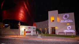 جانب من بطولة إصفري قطر للصقور 2021