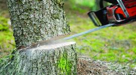 صورة (تعبيرية)