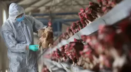 صورة (تعبيرية)