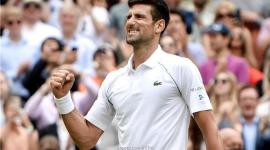 اللاعب الصربي نوفاك ديوكوفيتش