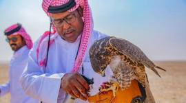 استمرار منافسات الدور قبل النهائي لمسابقة الطلع