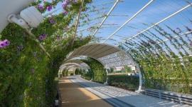 افتتاح حديقة الغرافة المزوّدة بنظام تبريد وتكييف متكامل