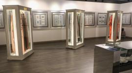 جانب من المعرض