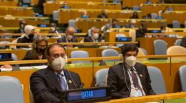 الوفد القطري المشارك