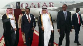 جانب من الاستقبال