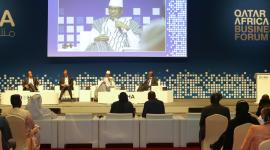 رئيس وزراء مالي شوغيل كوكالا مايغا