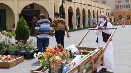 جانب من المهرجان