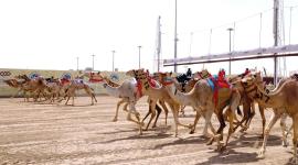 جانب من المنافسات