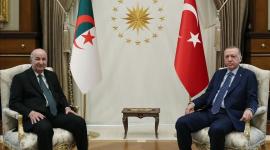 أردوغان وتبون