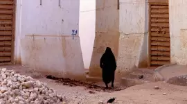 صورة أرشيفية