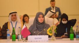 الوفد القطري المشارك بالمؤتمر
