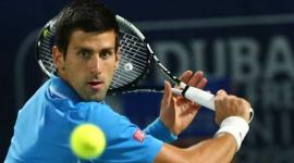 نوفاك جوكوفيتش