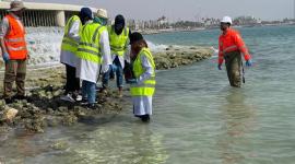 جانب من التدريب