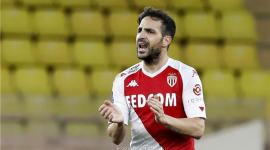 لاعب الوسط الإسباني سيسك فابريغاس