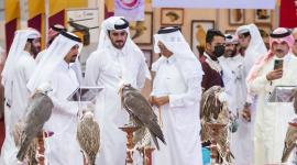 جانب من المعرض