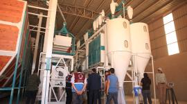 جانب من المشاريع الجديدة