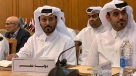 جانب من مشاركة الوفد القطري
