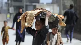 صورة أرشيفية