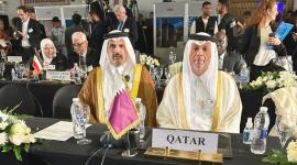 الوفد القطري المشارك في المؤتمر