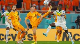 مباراة هولندا والسنغال