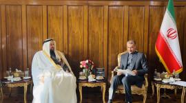 مساعد وزير الخارجية للشؤون الإقليمية خلال تسليم الرسالة لوزير الخارجية الإيراني