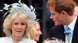 الأمير هاري وكاميلا