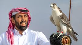 جانب من منافسات البطولة