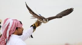 مهرجان قطر الدولي للصقور والصيد